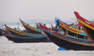 Cá chết, thuyền nằm bờ, ngư dân điêu đứng.