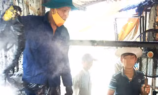 Hãi hùng lò giết mổ nhổ lông gia cầm bằng hóa chất