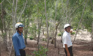 Du lịch về làng, nông dân mất đất