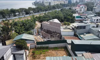 Đất nông nghiệp sử dụng sai mục đích xử lý thế nào?