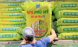 Sản phẩm NPK Phú Mỹ được vinh danh là 'Thương hiệu Vàng nông nghiệp Việt Nam năm 2024 '