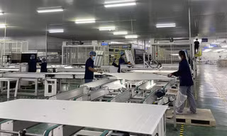 Siba Group hợp tác với đối tác Nhật Bản đẩy mạnh năng lượng tái tạo tại Việt Nam 