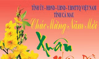 Cử tri Cà Mau muốn bỏ thư chúc Tết giấy sang dùng mạng xã hội