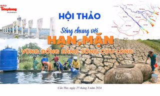 Bàn giải pháp để sống chung với hạn, mặn ở vựa lúa lớn nhất cả nước