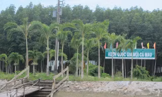 Lập quỹ trái phép và tham ô, nguyên Giám đốc Vườn Quốc gia Mũi Cà Mau lĩnh án