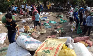 Đê bao và lúa ma nơi đỉnh lũ