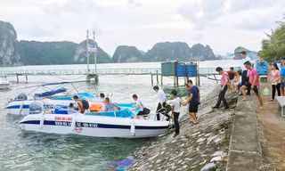 Tạm dừng toàn bộ xuồng cao tốc trên vịnh Hạ Long 