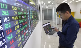 Một số chuyên gia xem đợt giảm điểm này của chứng khoán Việt Nam là cơ hội để mua vào.