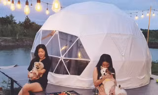 Bạn trẻ Sài Gòn tìm về những khu vùng ven thành phố để cắm trại