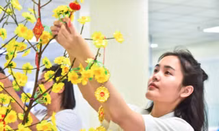 Đoàn viên, thanh niên Bệnh viện Quân y 175 trang trí góc Xuân, cùng bệnh nhân đón Tết