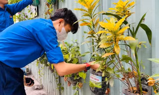 Đoàn viên, sinh viên TP. HCM hăng hái hưởng ứng Ngày cao điểm tình nguyện xây dựng đô thị văn minh