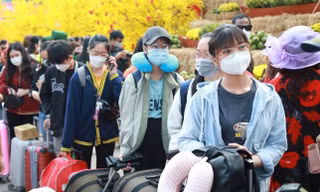 Vé Tết tăng giá, sinh viên không khỏi lo lắng