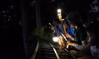 Bạn trẻ ‘phát sốt’ với tour tham quan ban đêm tại Thảo Cầm Viên Sài Gòn