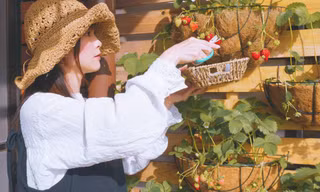 Học hỏi “bí kíp” sống xanh triệt để của cô gái Việt tại Nhật Bản