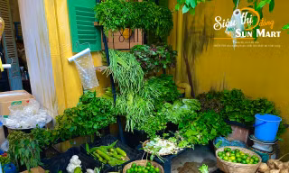 Chàng sinh viên về quê nhà Vĩnh Long mở “siêu thị 0 đồng” giúp người nghèo 
