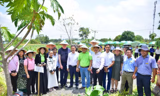 Trường đại học ra mắt mô hình ‘Vườn thực phẩm cộng đồng’