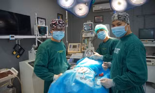 Chàng trai lập tổng đài tư vấn sức khỏe miễn phí cho chó, mèo 