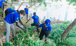 Thành Đoàn TP. HCM sôi nổi ra quân chương trình ‘Chủ nhật Xanh' lần thứ 150