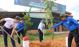 Tuổi trẻ Long An ra quân trồng mới 6.000 cây xanh đô thị