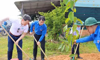 Chương trình ‘Triệu cây xanh – Vì một Việt Nam xanh’ năm 2023 đến tỉnh Long An 