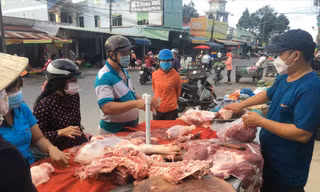 Giá lợn thấp kỷ lục: Nông dân khóc ròng