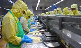 Việc Mỹ áp thuế 46% sẽ ảnh hưởng nghiêm trọng đến ngành sản xuất, chế biến, xuất khẩu thủy sản, đặc biệt là ngành tôm của tỉnh Cà Mau