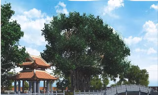 Hồ Văn và gò Kim Châu tương lai