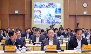 Các đại biểu tham dự hội nghị