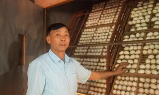 Ông Mùi thu tiền tỷ từ trang trại nuôi vịt