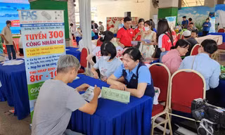 Sinh viên tìm việc làm tại Ngày hội việc làm cuối tháng 11/2024