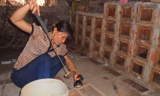 Đánh cược sinh mạng với nghề nuôi rắn độc ở Vĩnh Phúc