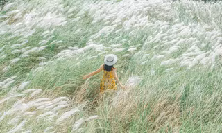 Mùa sậy trổ hoa, nhớ tuổi thơ chúng mình thuở đóng giả chú rể cô dâu