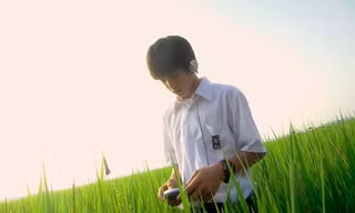 Trưởng thành đã khác thuở ấu thơ, nhưng đối với mình mùa Hè như còn mãi