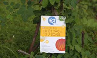 Hệ miễn dịch - Kiệt tác của sự sống: “Vắc xin” sống khỏe giúp sạc tinh thần giữa mùa dịch