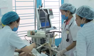 Dịch bệnh tấn công từng ngày