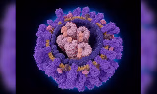 Phát hiện một loại kháng thể có thể nhắm vào nhiều chủng virus cúm cùng lúc 