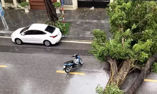  (Ảnh: Nhóm PV/Vietnam+)