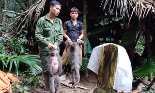2 trong 5 đối tượng giết hại vọoc xám bằng súng tự chế bị cơ quan chức năng bắt giữ.