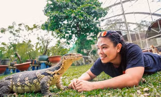 Anh Ngô Hoài Nam (35 tuổi), kinh doanh ở Bình Dương, vô tình thấy những chú cự đà, rùa cảnh... có nguồn gốc nước ngoài hơn 10 năm trước. 