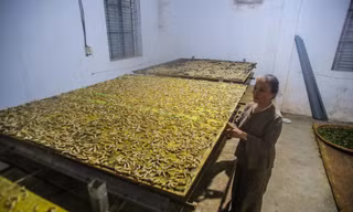 Độc đáo chiếc khẩu trang 3 lớp chống COVID-19 từ ngàn con tằm nhả tơ 