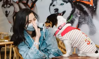 Đối xử tốt với chó mèo sẽ biết thương lấy con người 