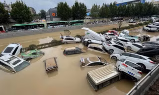 Ô tô bị ngập trong lũ ở nước ngoài liệu có về Việt Nam?