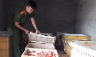 Số nội tạng động vật bẩn vừa được phát hiện. 