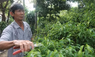 Ông Nguyễn Văn Côi, người thắng kiện chính quyền Đà Nẵng tại phiên sơ thẩm trong vụ kiện "đền bù thấp hơn giá thị trường 1.000 lần". Ảnh: Nguyễn Thành