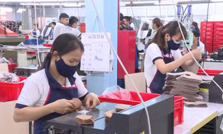 Do hụt thu ngân sách trong 2 năm liên tiếp (2019- 2020) quá lớn dẫn tới tỉnh Quảng Ngãi không còn khả năng cân đối thu chi trong năm 2020.
