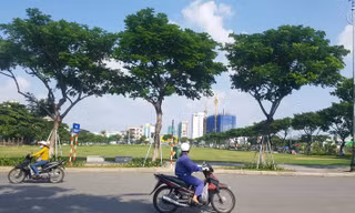 Lô đất Vipico trúng đấu giá nhưng bị hủy kết quả. 