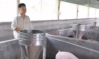 Cất tấm bằng đại học, chàng trai rời thành phố về quê mở trang trại “tiền tỷ“