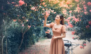 Đường tường vi hồng rực: Cách Linh Đàm 1km, chỉ 40K check-in thả ga