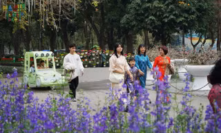 Hà Nội: Công viên vắng vẻ, 'hà mã baby' gây ấn tượng
