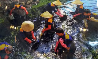 Trao giải, trưng bày ảnh cuộc thi 'Thủ đô Hà Nội xanh - sạch - đẹp 2016'